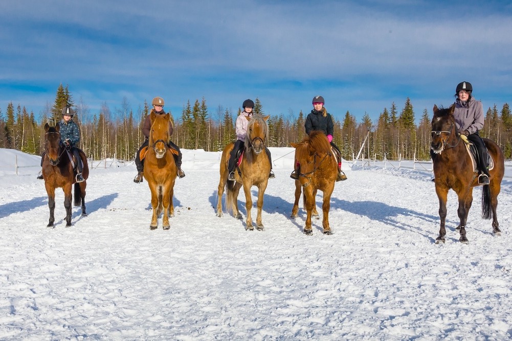 Kemijarvi Off Piste Adventure