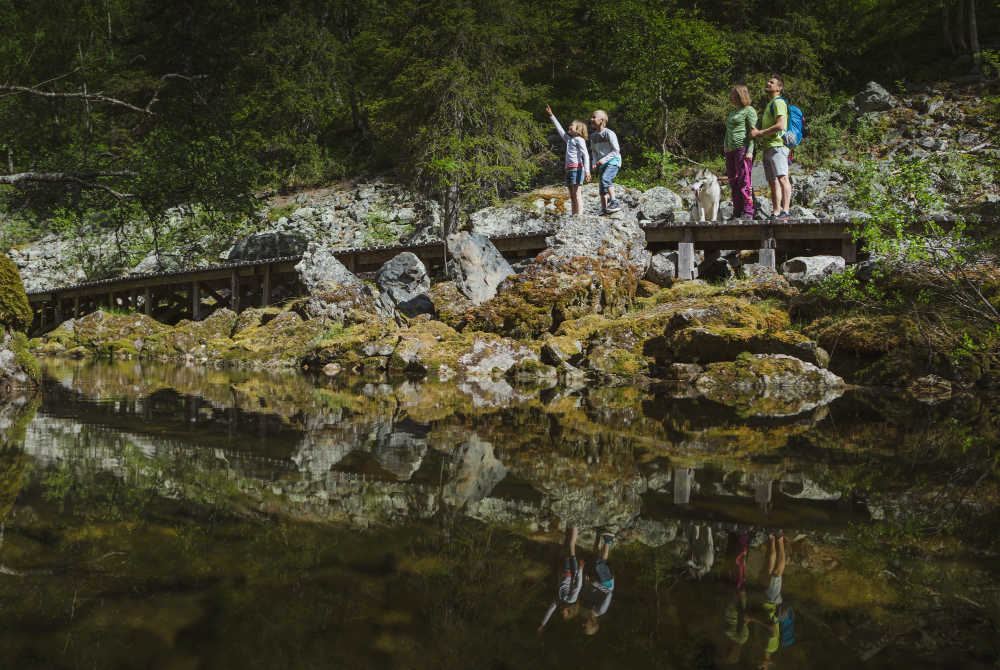 PyhaLuosto_hiking_national_park