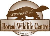 Logo Boreal Wildlife Centre