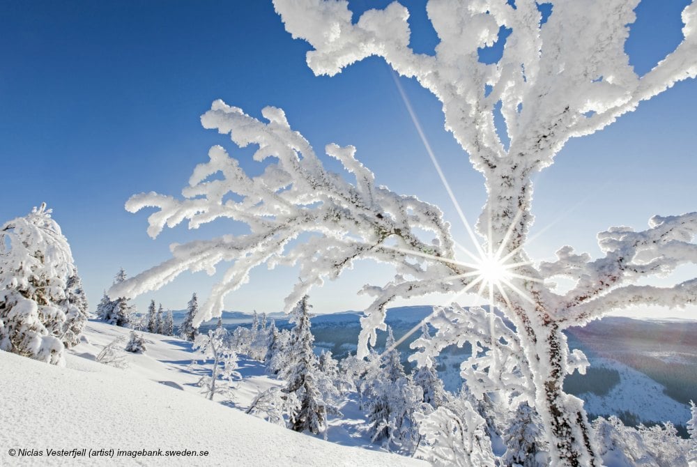 Winterlandschaft Schwedisch Lappland Niclas Vesterfjell (artist) imagebank.sweden.se