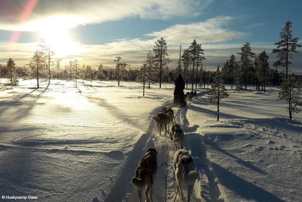 Huskycamp Gasa-Hundeschlittentour in Arjeplog2