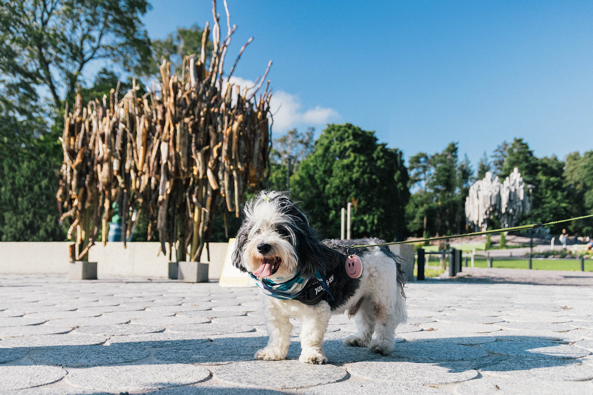 Doggy Route Helsinki