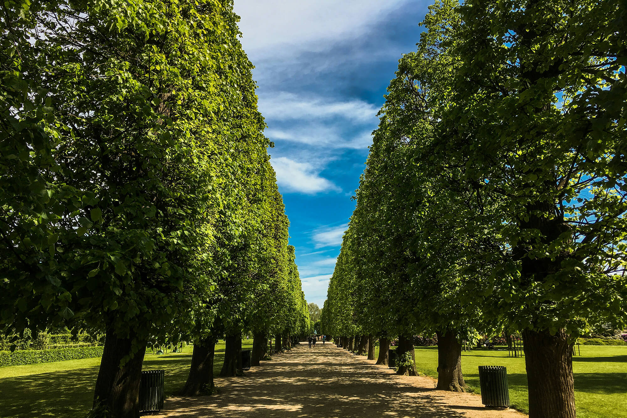 © Carlo Pentimalli Unsplash