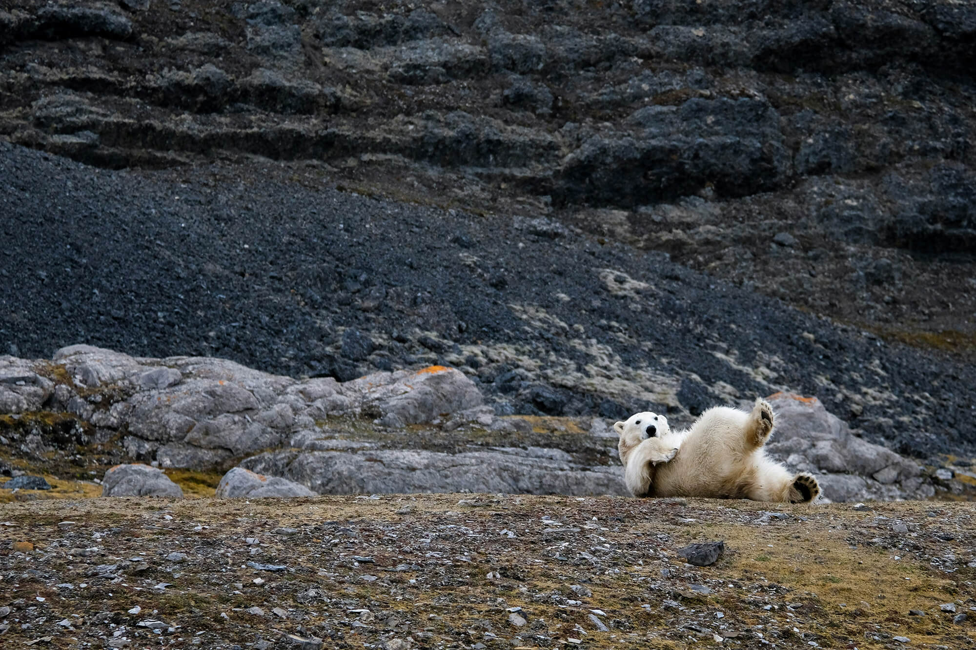 Svalbard © Mathieu Ramus Unsplash