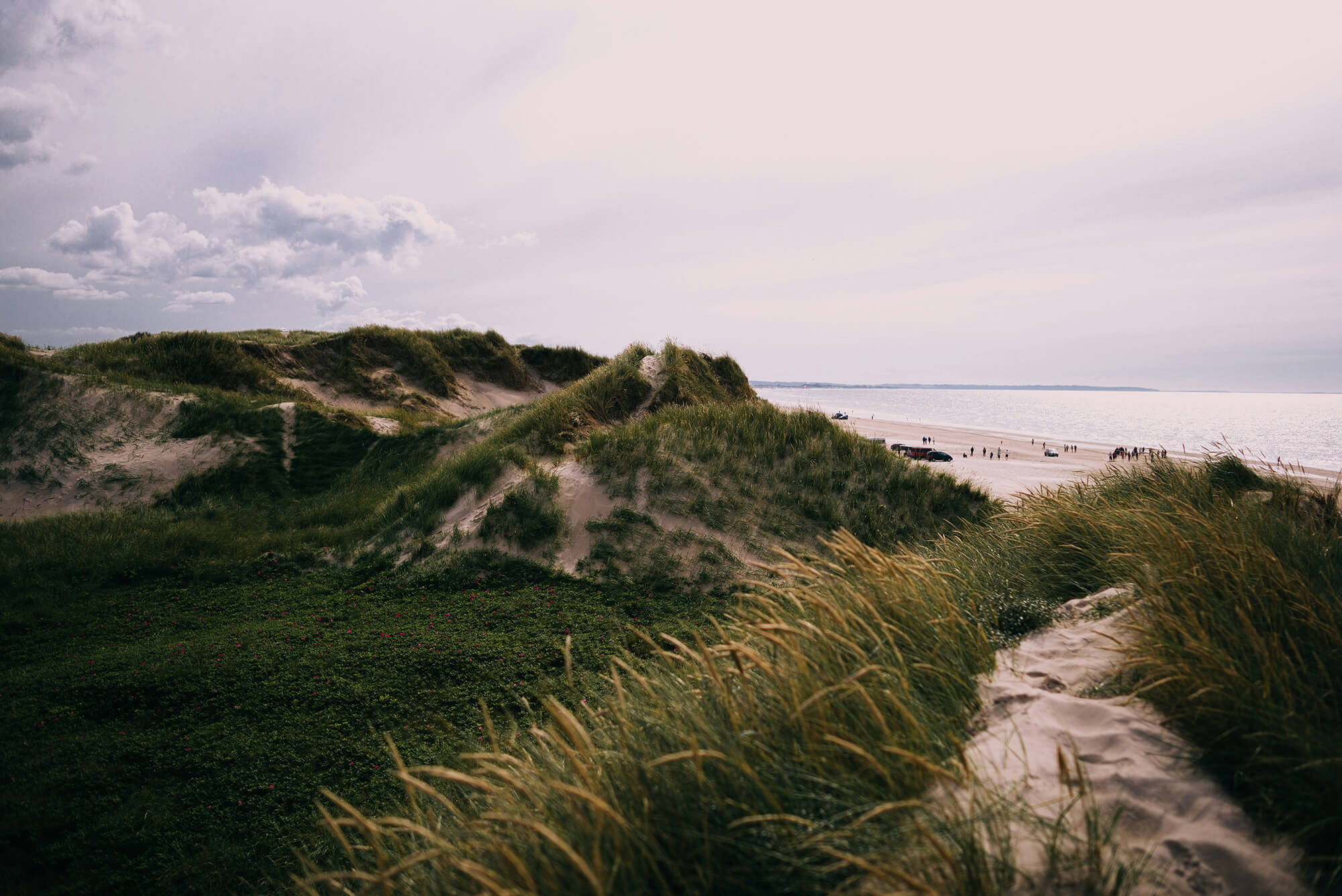 Denmark © Nils Nedel Unsplash