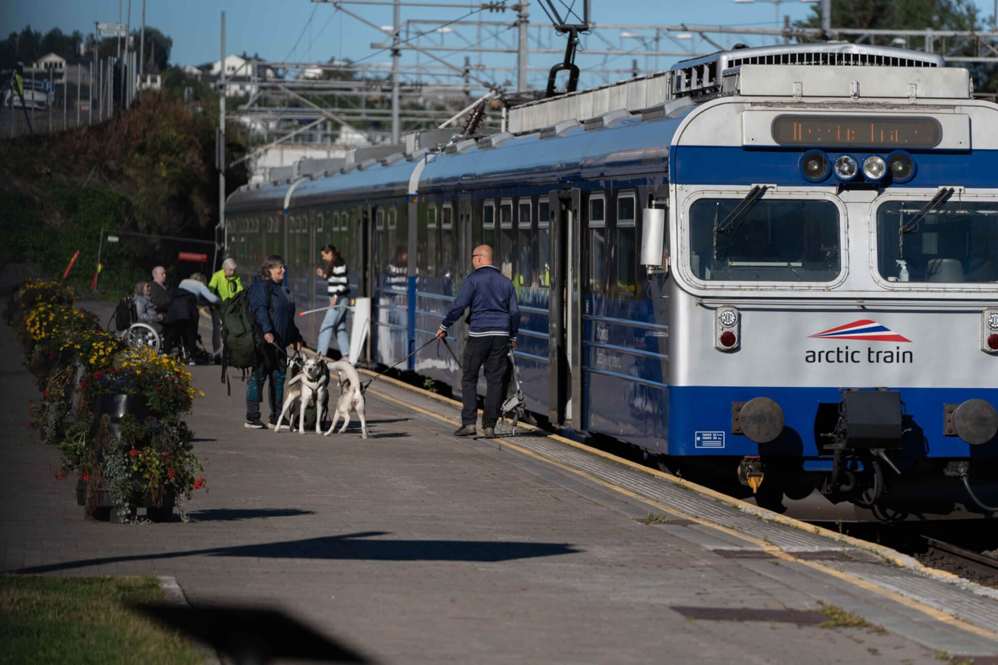 Arctic Train