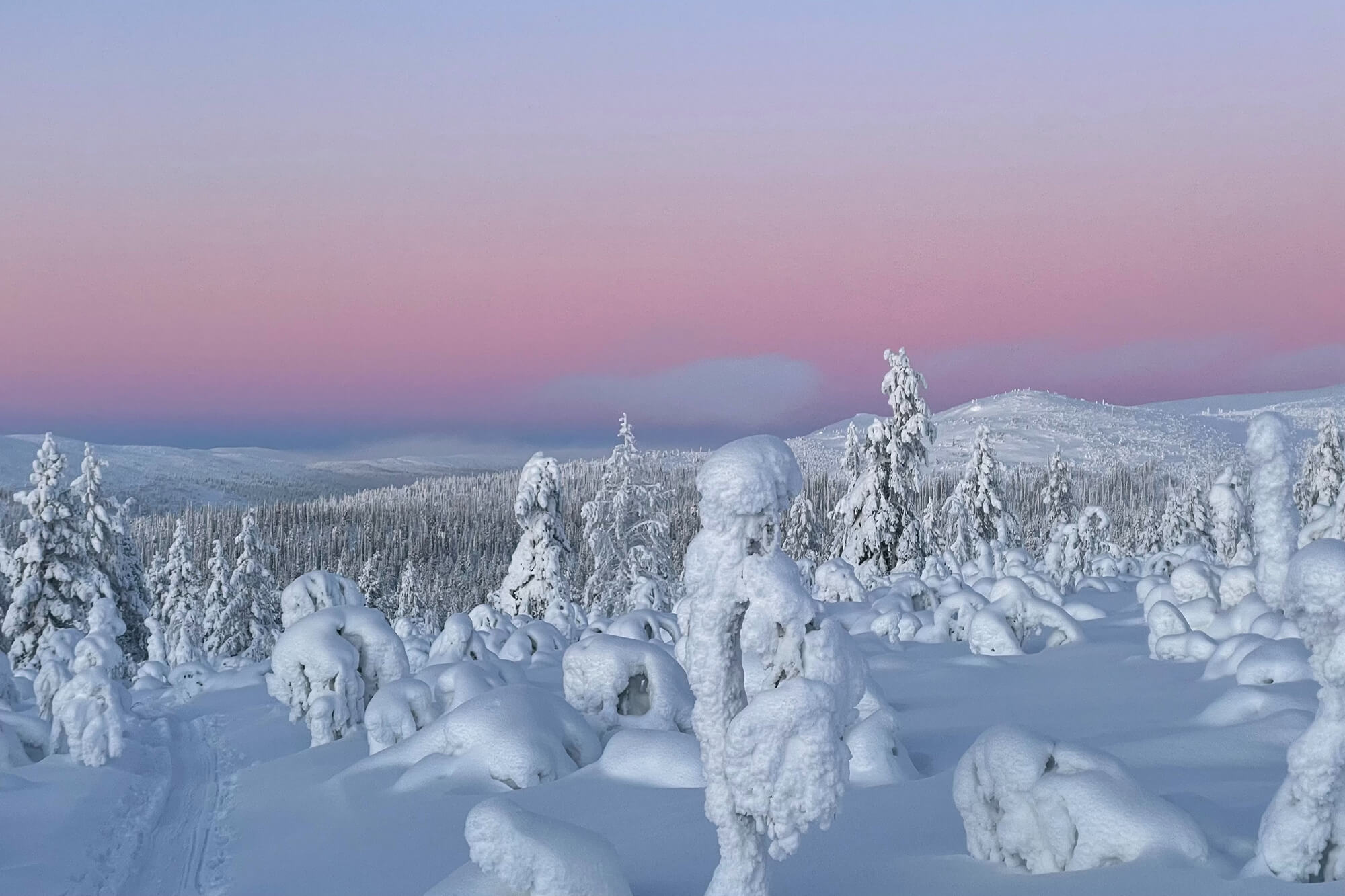 Kaamos winter wonderland Finnland