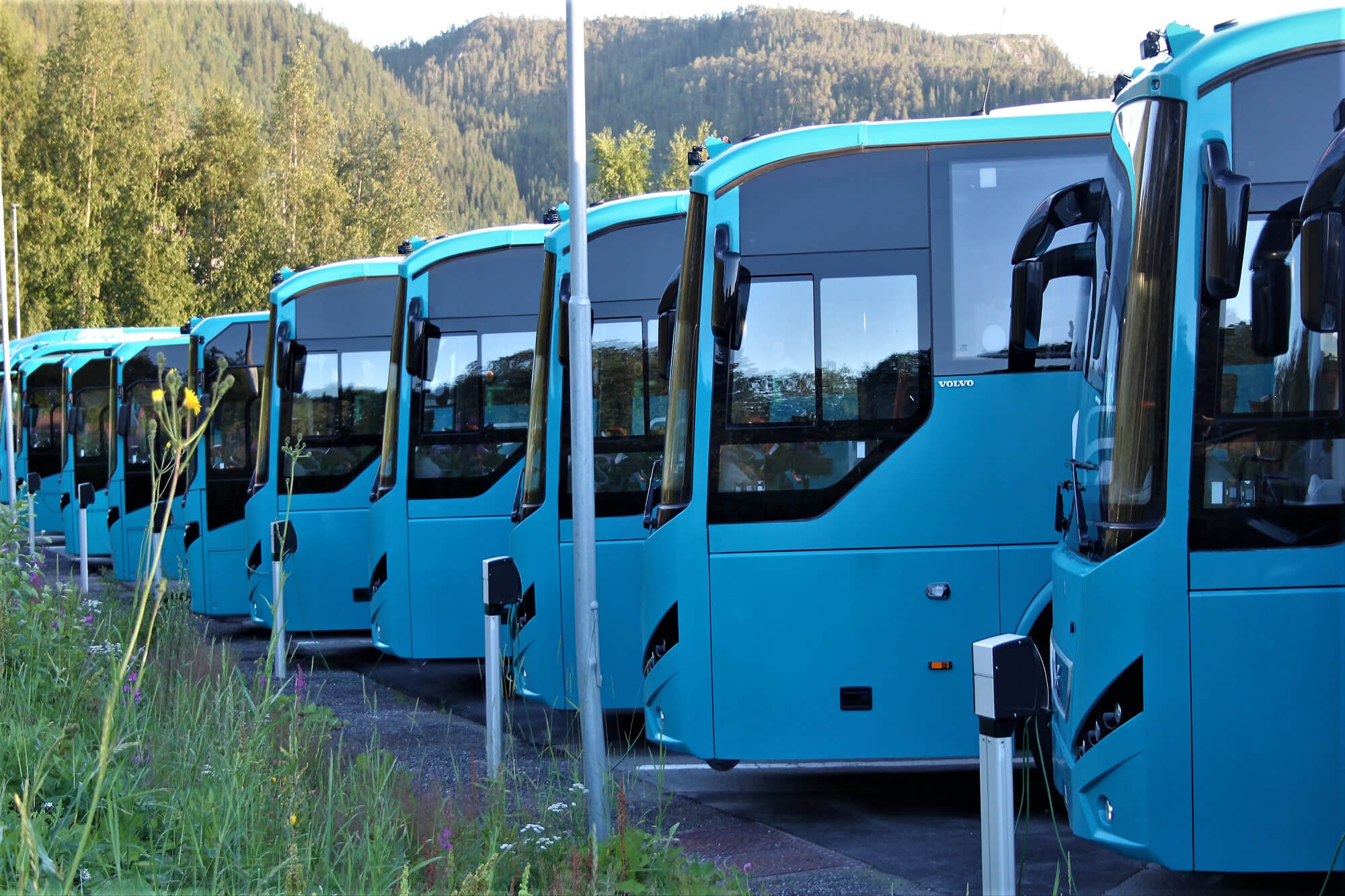 Stadtbusse in Norwegen