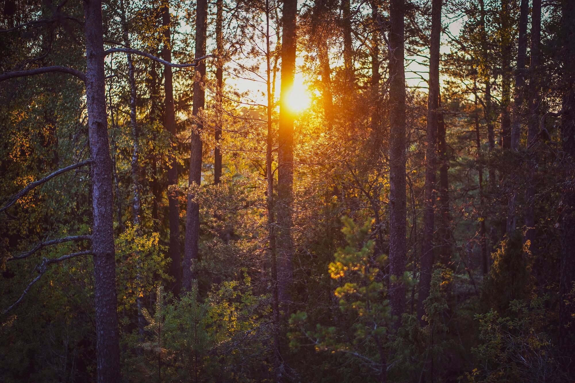 Finland © Aiva Apsite Unsplash