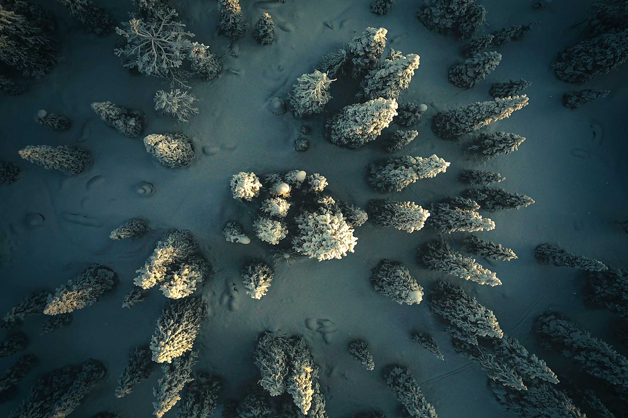 © Christoph Nolte Unsplash