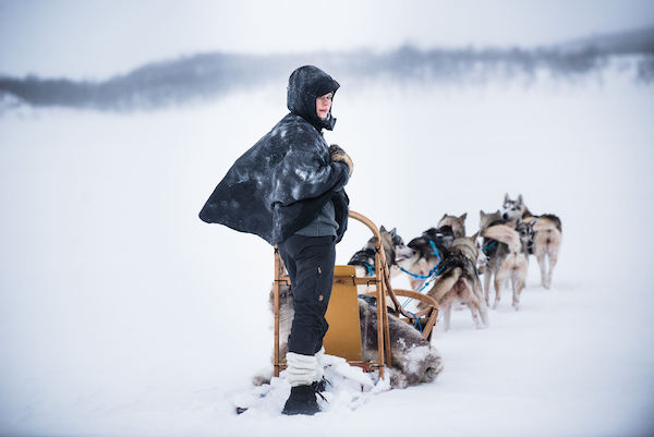 visitfinland-husky