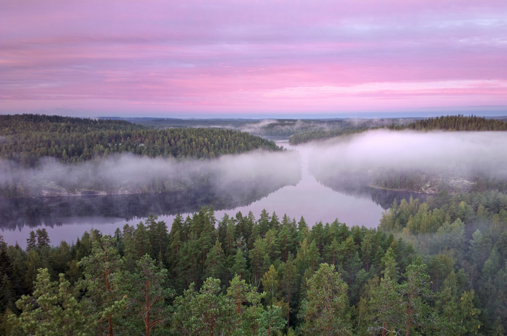 Nationalpark Kouvola u. Kotka-Hamina - Repovesi_usva