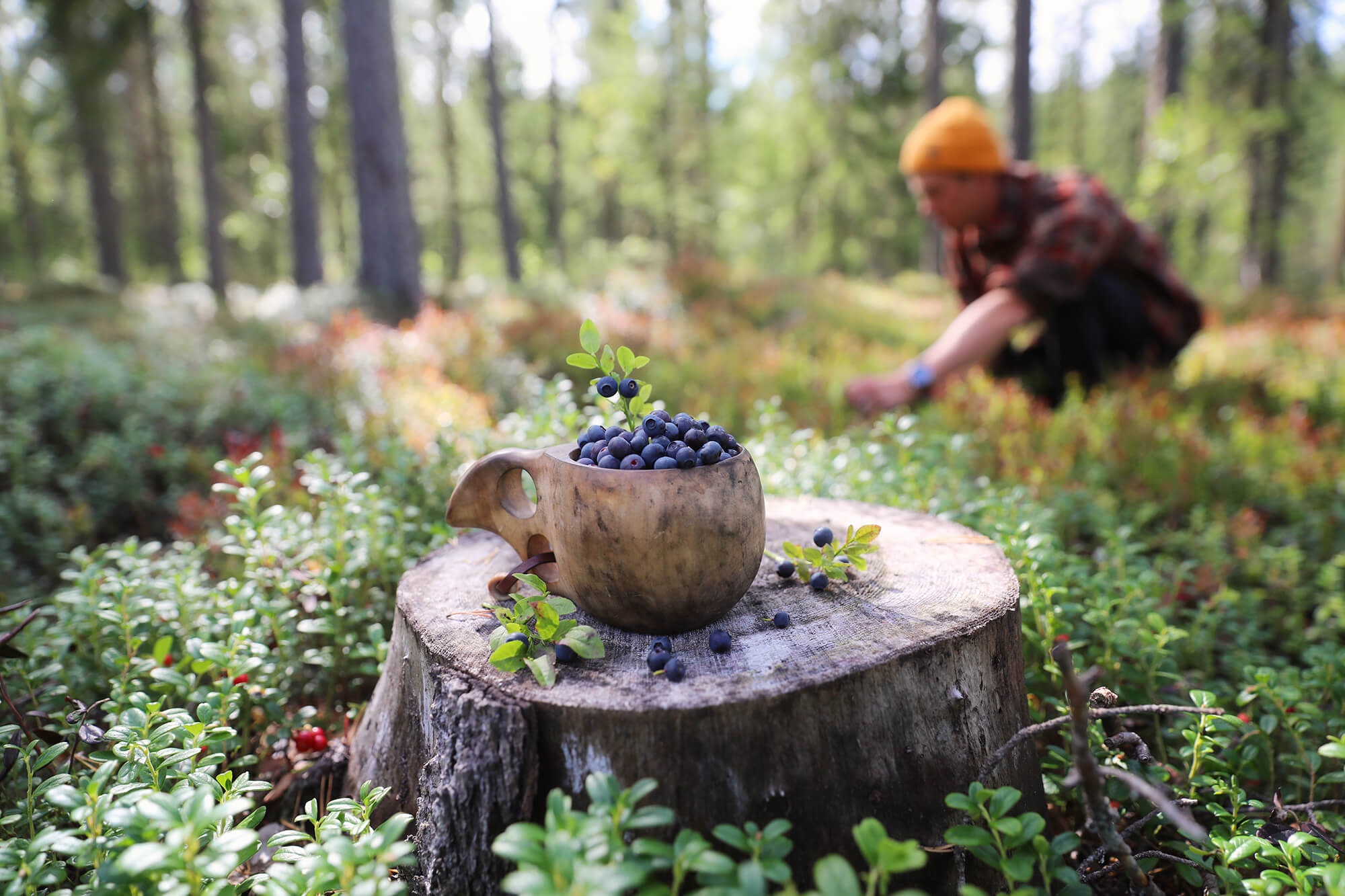 North Karelia Harri Tarvainen