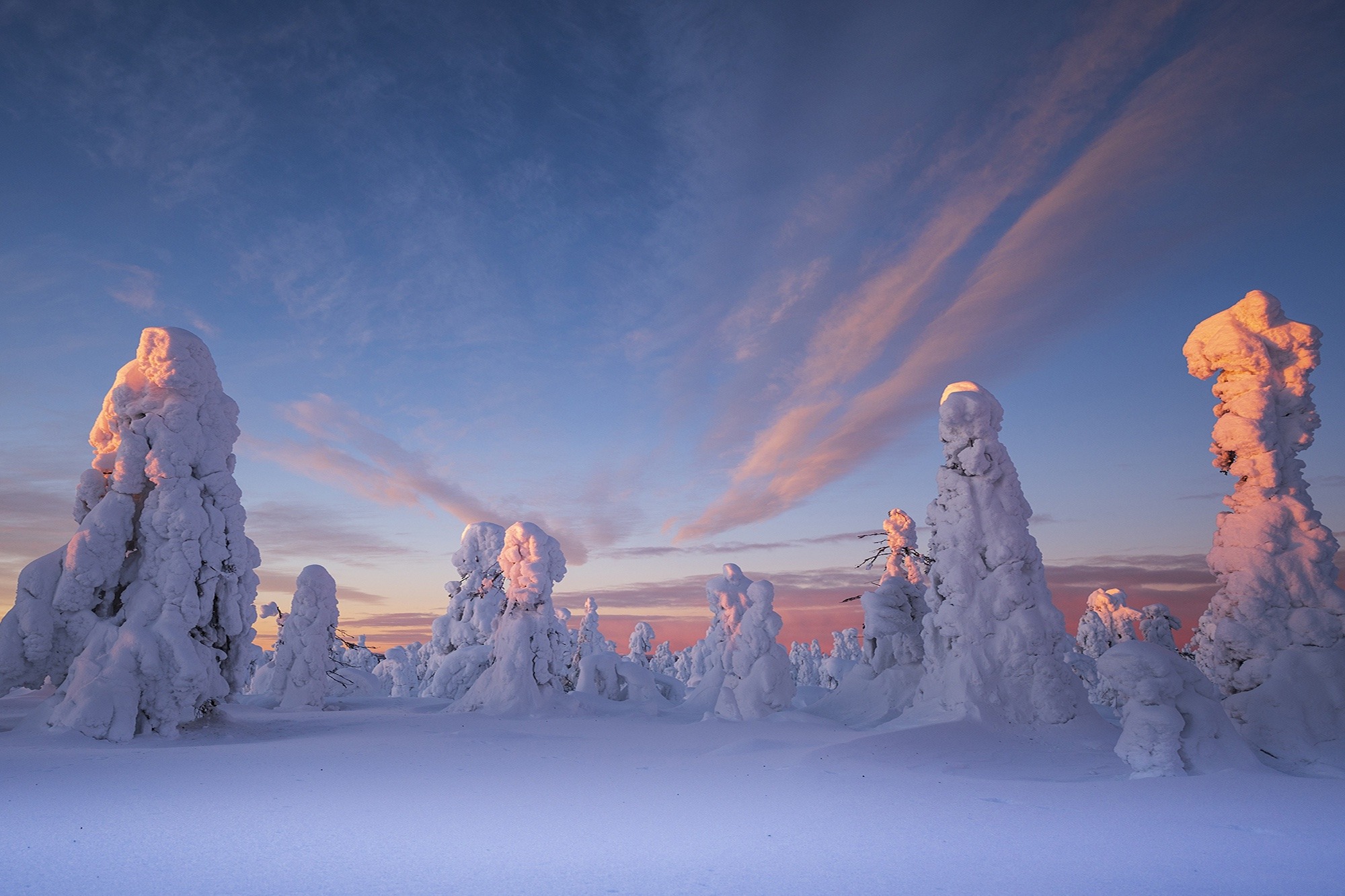 @ Håkan Stenlund Swedish Lapland Visitors Board